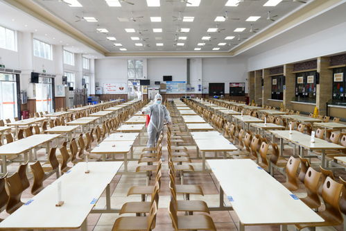 餐餐添香，楠傲承包——佛山三水工廠員工食堂的食材鮮味與品質承諾